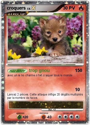 Pokemon croquers