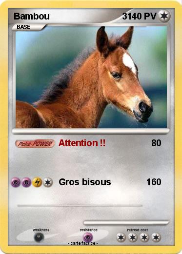 Pokemon Bambou                             3