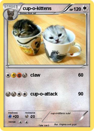 Pokemon cup-o-kittens