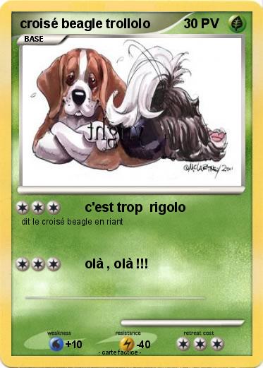 Pokemon croisé beagle trollolo