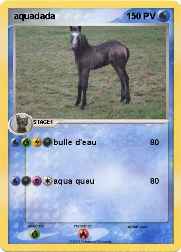 Pokemon aquadada