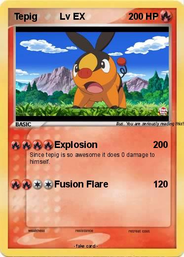 Pokemon Tepig         Lv EX