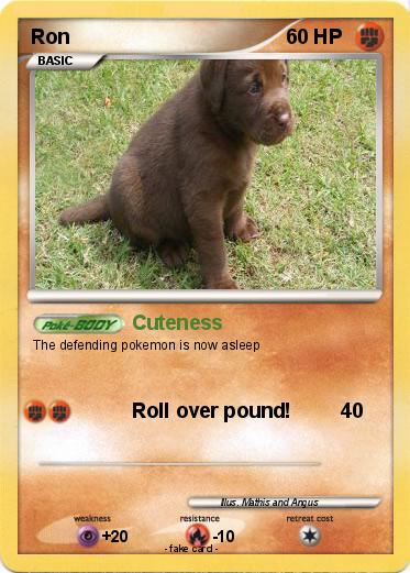 Pokemon Ron