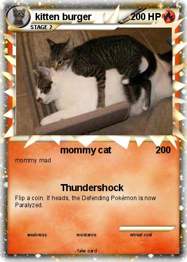 Pokemon kitten burger