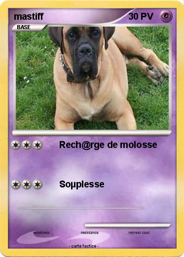 Pokemon mastiff