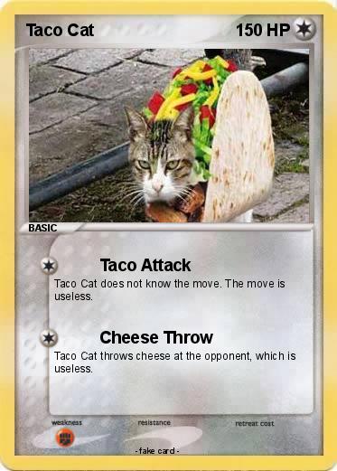 Pokemon Taco Cat