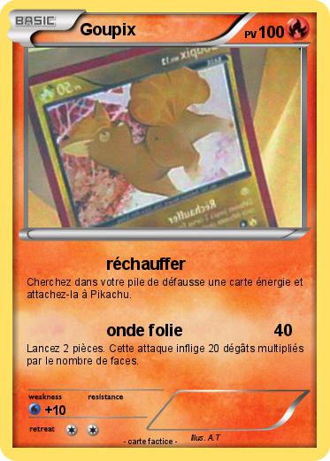 Pokemon Goupix