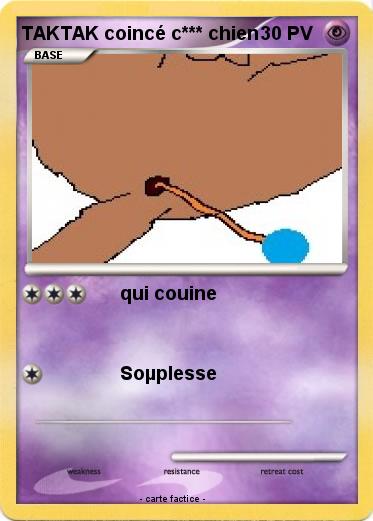 Pokemon TAKTAK coincé c*** chien