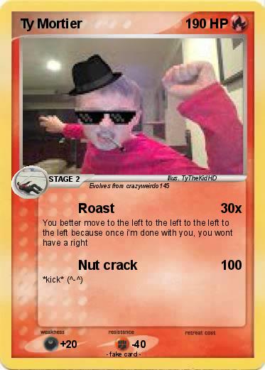 Pokemon Ty Mortier