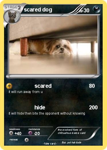 Pokemon scared dog