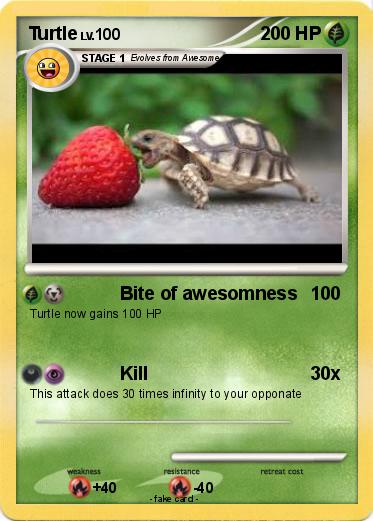 Pokemon Turtle