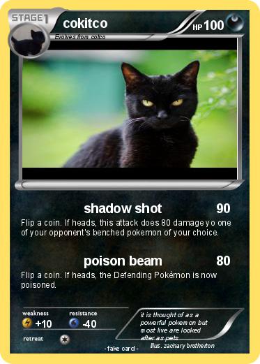 Pokemon cokitco