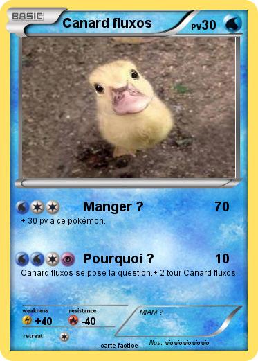Pokemon Canard fluxos