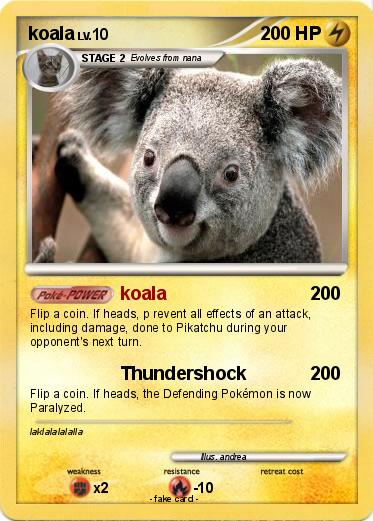 Pokemon koala