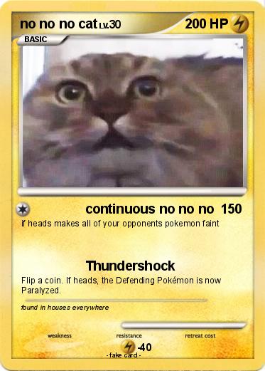 Pokemon no no no cat