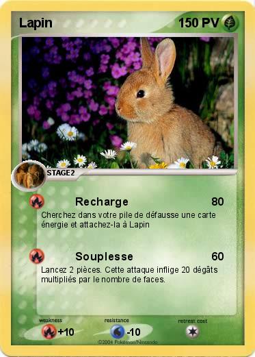 Pokemon Lapin