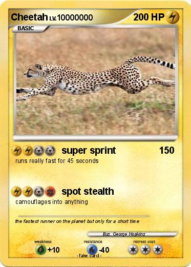 Pokemon Cheetah