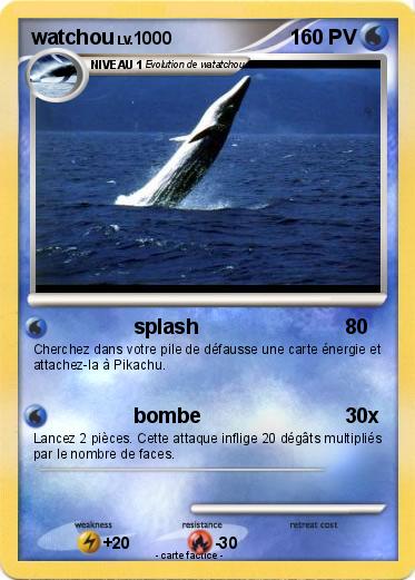 Pokemon watchou