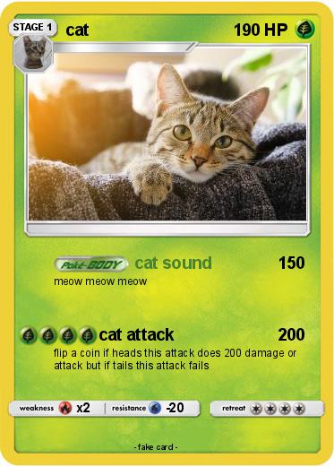 Pokemon cat