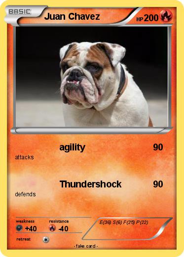 Pokemon Juan Chavez