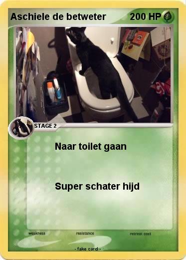 Pokemon Aschiele de betweter