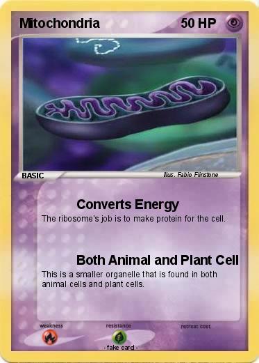 Pokemon Mitochondria