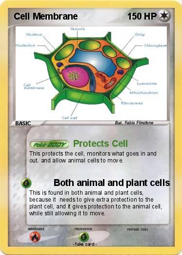 Pokemon Cell Membrane