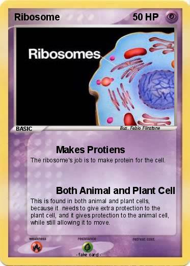 Pokemon Ribosome
