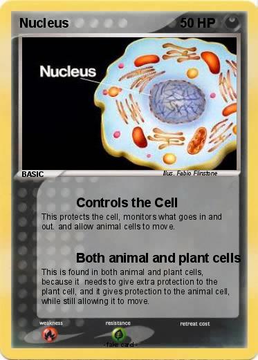 Pokemon Nucleus
