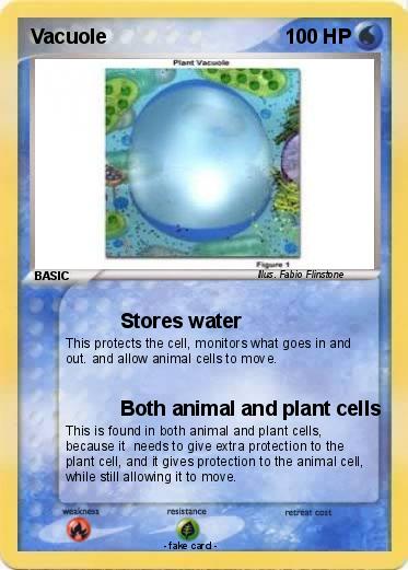 Pokemon Vacuole