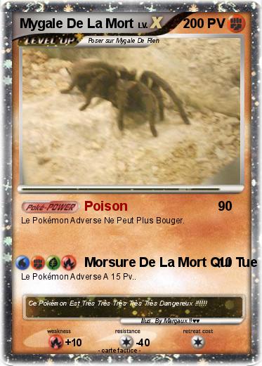 Pokemon Mygale De La Mort