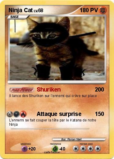 Pokemon Ninja Cat