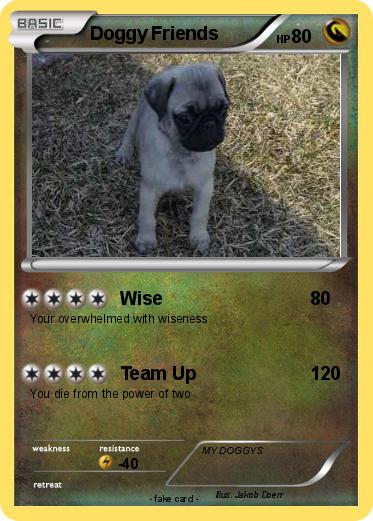 Pokemon Doggy Friends