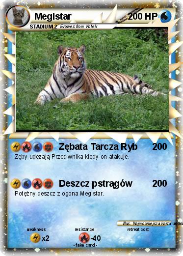 Pokemon Megistar
