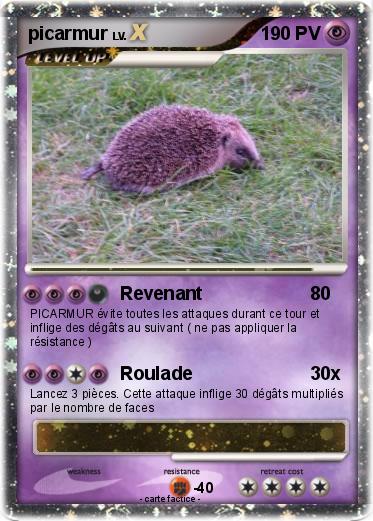 Pokemon picarmur