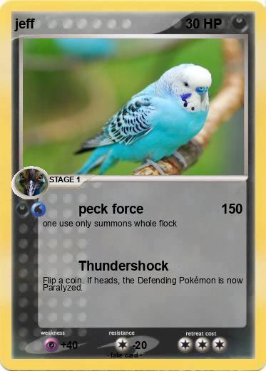 Pokemon jeff