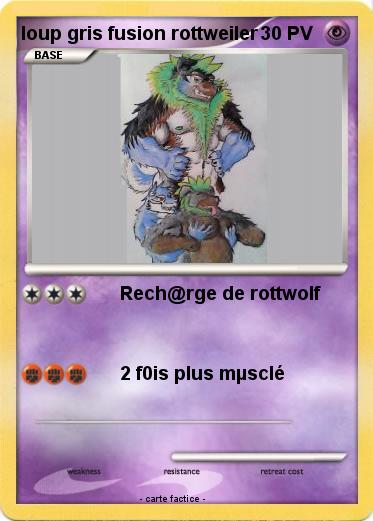 Pokemon loup gris fusion rottweiler