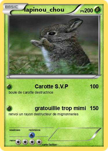 Pokemon lapinou_chou
