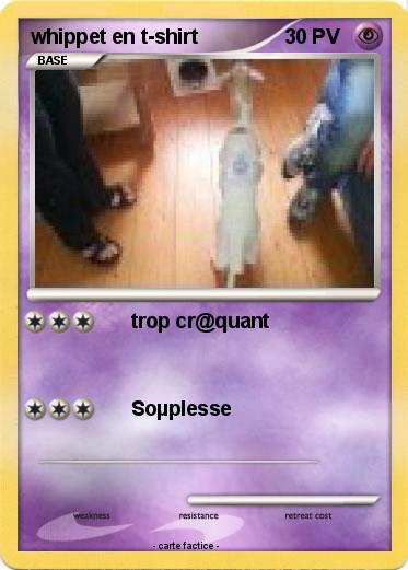 Pokemon whippet en t-shirt