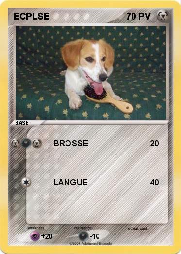 Pokemon ECPLSE