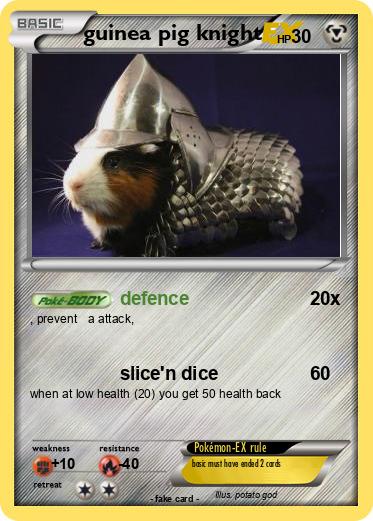 Pokemon guinea pig knight