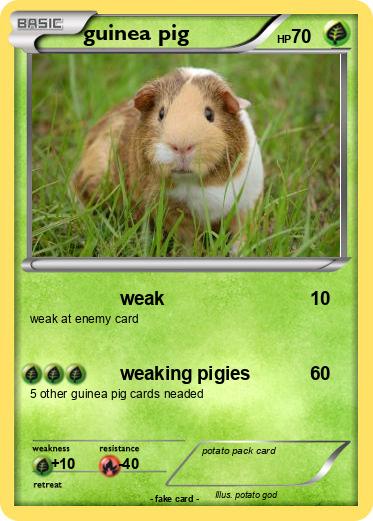 Pokemon guinea pig