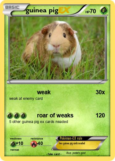 Pokemon guinea pig