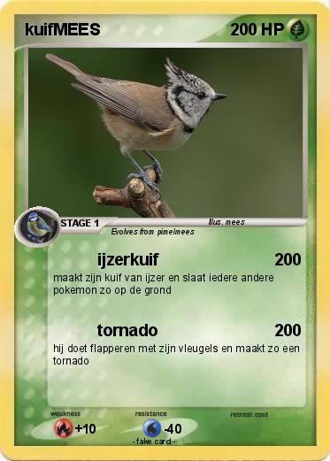 Pokemon kuifMEES