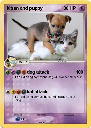 Pokemon kitten and puppy