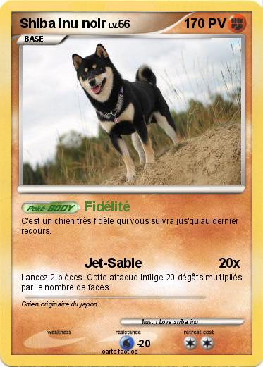 Pokemon Shiba inu noir