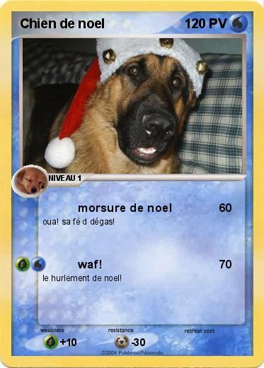 Pokemon Chien de noel