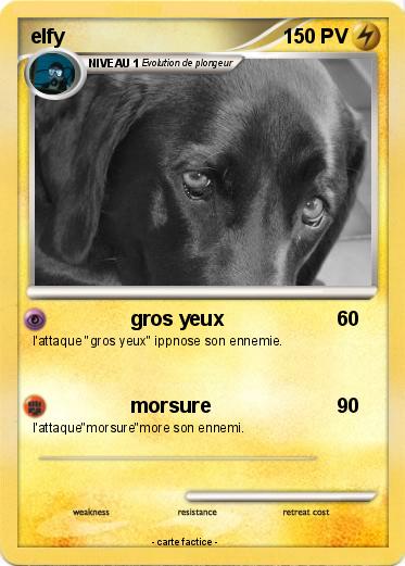 Pokemon elfy