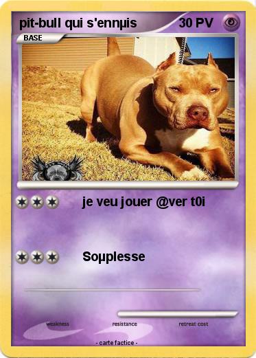 Pokemon pit-bull qui s'ennµis