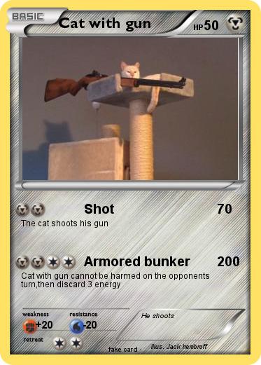 Pokemon Cat with gun